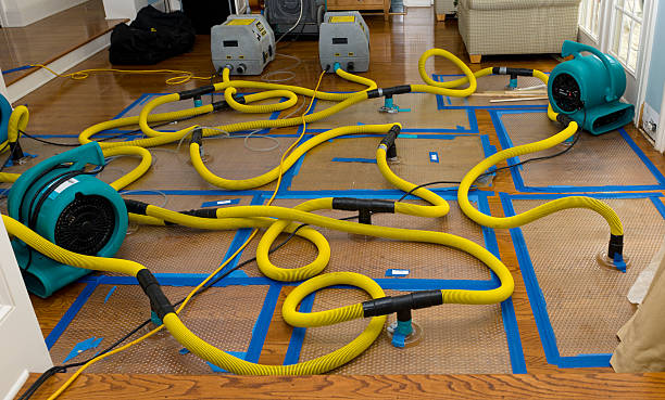 Professional Crawl Space Water Removal technician working in Dowling, MI